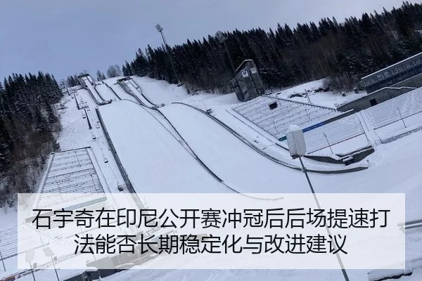 石宇奇在印尼公开赛冲冠后后场提速打法能否长期稳定化与改进建议